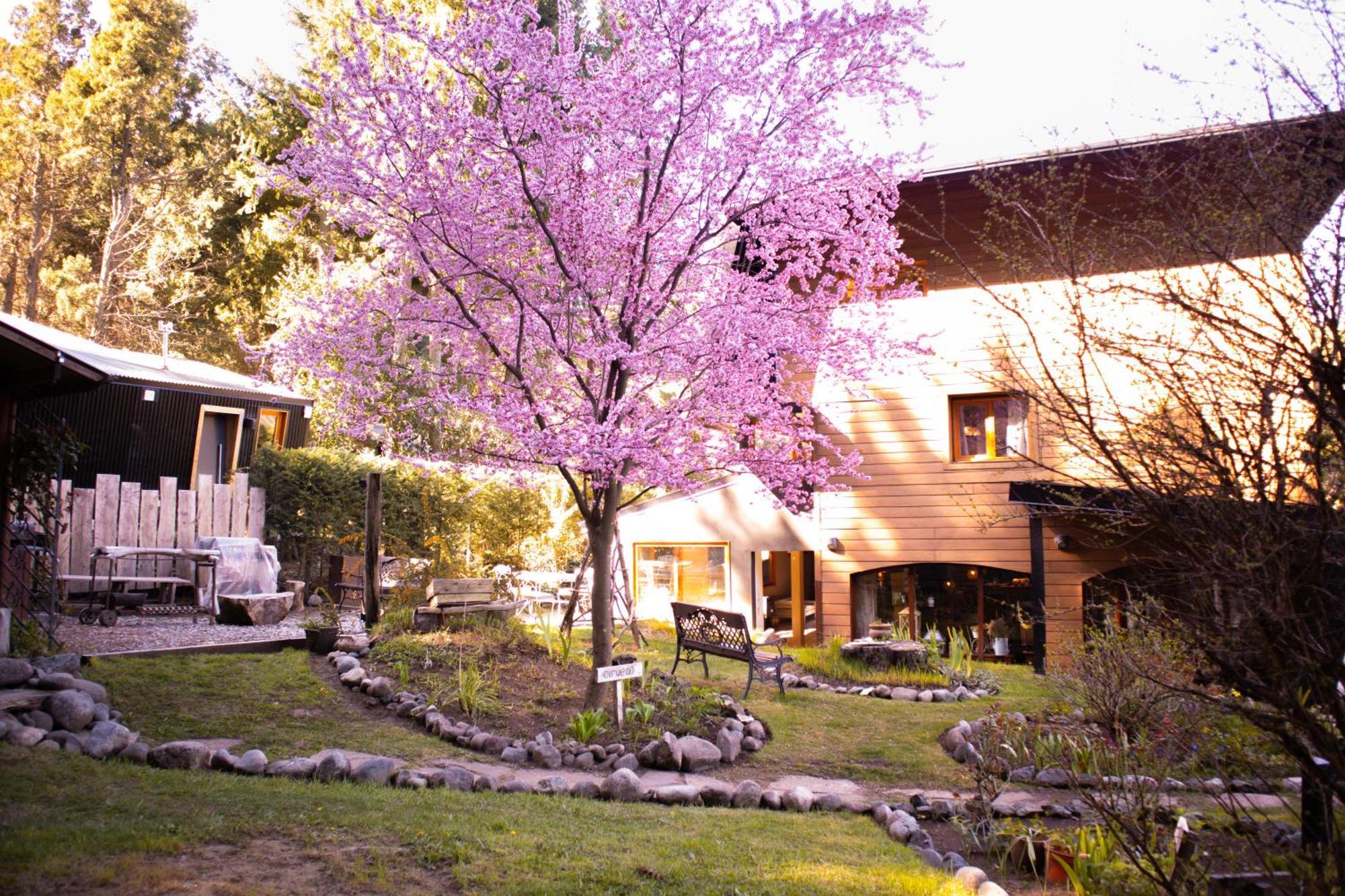 Le Bouquet Apart Hotel San Carlos de Bariloche Exteriör bild